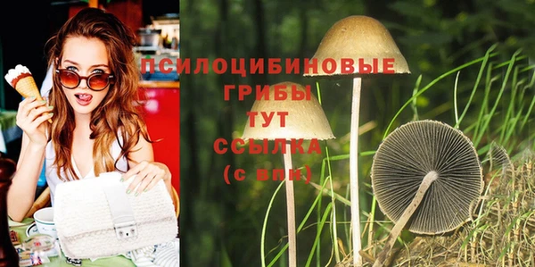 дурь Абаза