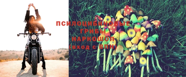амф Абинск