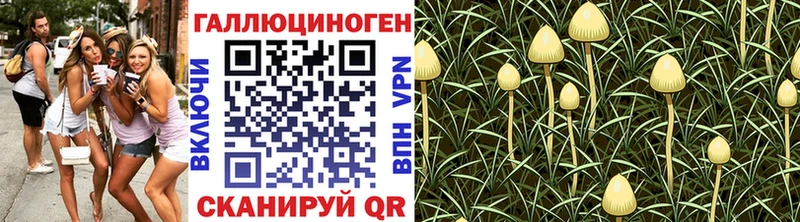 Псилоцибиновые грибы GOLDEN TEACHER  Верхоянск 
