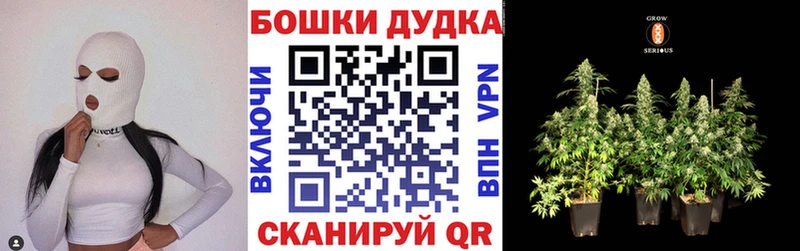 Конопля сатива  hydra ссылка  Верхоянск  что такое  